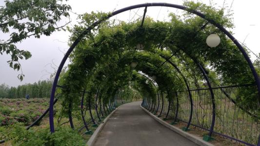 路旁的路