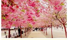 他们爱你如命，好好珍惜