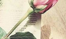 新京报2014新年献词