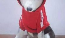 快被遗忘的中国老规矩——这就是教养