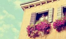 经典语录：如果我不这么在乎，生活会简单得多