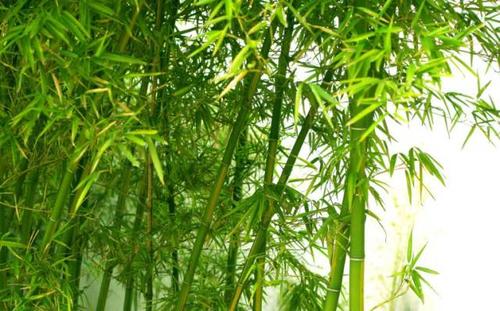 做一个人，做事，无论悲伤还是快乐，都会在十次启蒙中实现，而在十次禁忌中会失败