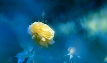 一个人再苦再难，也不能丢掉的东西