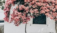 这两个字,足以“秒杀”任何高情商