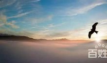 有一种高级的情商，叫“不抬扛”