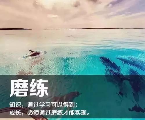 不要成为实现梦想的机器
