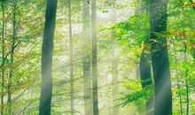 朝着有阳光的方向一路前行