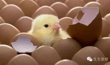 别让自己努力得满腹委屈