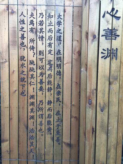 学会看到痛苦中的机会
