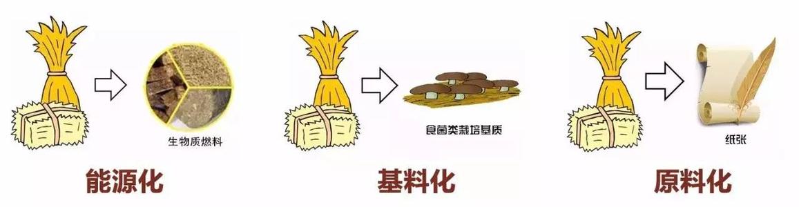 痛苦是增长的最佳动力