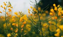 除了你，其他人都挺努力的