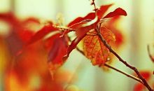 经典语录：随口答应不如认真拒绝