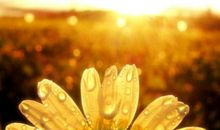 不是让自己痛苦,就是让自己坚强,花的力气,其实相同