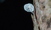 时光背后的蜗牛