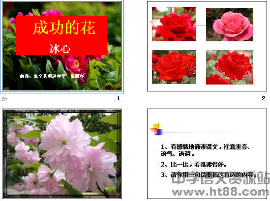 成功之花