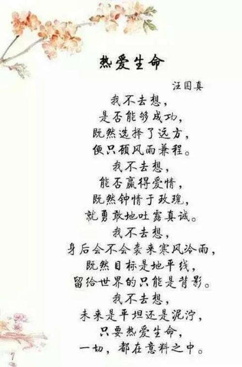 我不认为成功