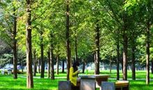 你鞋子接触过的地面，才是你真正走过的路