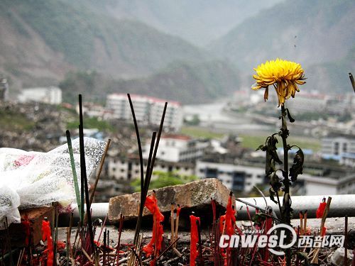 阅读笔记-“废墟中的花朵”