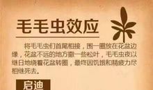 十则黄金定律,摆脱“穷忙”人生