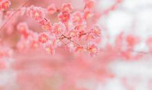 经典语录：比起穷这个弱点来，丑简直不值一提