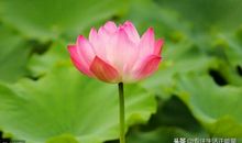 把一件事坚持30天(结果惊人)