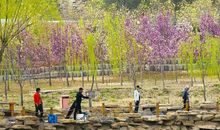 请给孩子这十个生命气质，胜过10栋房子