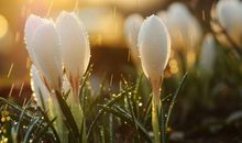 七夕说让女朋友开心的句子 七夕写给女朋友的情话