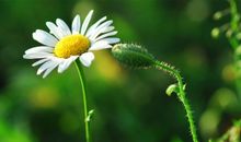 开心个人说说心情的句子 开心快乐的句子说说心情短语