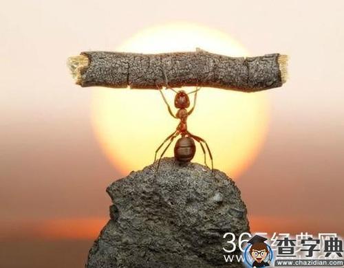 工资背后的意义
