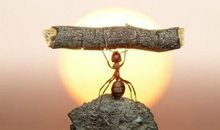 薪水背后的意义