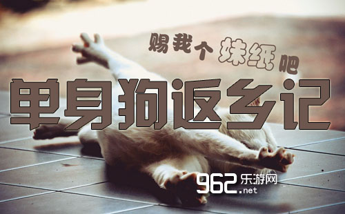 单只狗回家