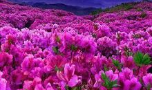 让早晨从早晨开始