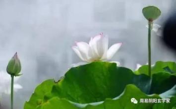 不要随便说话
