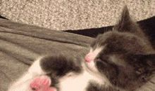 各种机会像睡醒了一样