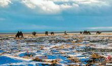 很讽刺的句子（精辟）