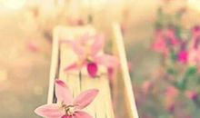 庆幸的是，我没有抱怨