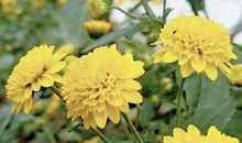 人一晃就老,别自寻烦恼