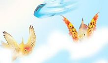 每个想飞的人，都是一条向往翅膀和天空的鱼