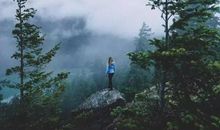 对不起,我还过不起安逸人生