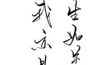 经典语录:人生如逆旅,我亦是行人