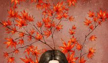 写给姑娘的20句话，火爆了朋友圈