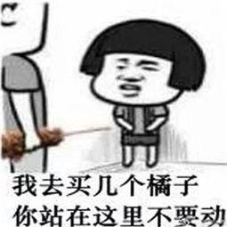 经典语录：您站在那儿不动，我会接您的