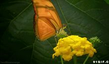 这50句话,值得读100遍