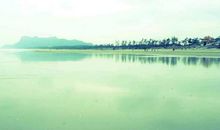 经典语录：人生没有如果，但是有很多但是