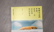 被嘲笑过的梦想，总有一天会让你闪闪发光