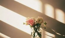 有一种能力,叫遇事不纠结