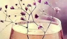 这个世界没有雪中送炭，只有锦上添花