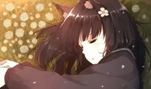 经典语录：不要去羡慕别人的表面风光，其实每个人都有自己内心的苦