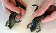 真正的成长就是颠覆你以前的世界观