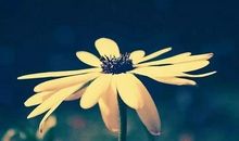 把时间花在进步上，而不是抱怨上